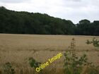 Photo 6x4 Crop field towards Saxelbye Wood Grimston/SK6821  c2013