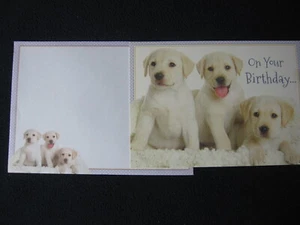 3 Puppies Birthday Card w/ Matching Envelope - Includes Shipping! - Picture 1 of 3