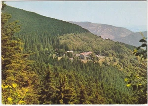 CAMPIGNA - AREZZO - S.S. N. 310 "DEL BIDENTE" - VIAGG. -5098- - Picture 1 of 1