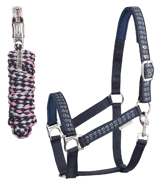 Halfter Set Strick Silver Hearts Stallhalfter Mini Shetty Pony Vollblut Warmblut - Bild 1 von 1