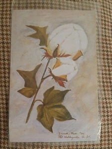Estampado artístico de Jessie Mae Cox Hobbyville EE. UU. bola de algodón 5"" × 7 7/8"" nuevo de lote antiguo sellado - Imagen 1 de 6