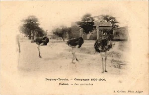 PC SENEGAL DUGUAY-TROUIN DAKAR LES AUTRUCHES ED. GEISER (a62619) - Imagen 1 de 2