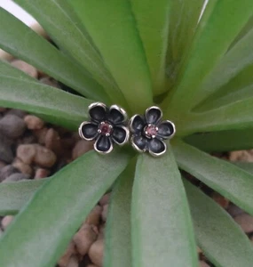 PANDORA Sterling Silver Wandas Garden Oxidised Pink Tourmaline Flower Studs RARE - Picture 1 of 7