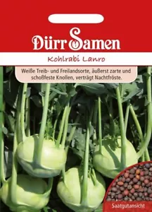 Kohlrabi Lanro Kohlrabisamen Samen von Dürr Samen ca 200 Korn - Bild 1 von 1
