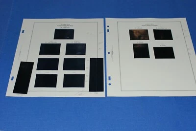 Oregon Duck Hunting Scott National Album Pages BlueLakeStamps GET YOUR STATE! - Image 1 of 4