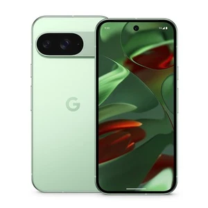 Google Pixel 9 128Gb 5G - Wintergreen - Foto 1 di 1