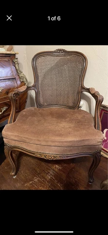 Vintage French Louis XV Cane Back Fauteuil Arm Chair Cover