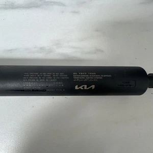 PUERTA TRASERA DERECHA ELÉCTRICA KIA EV6 GT-LINE PUNTAL P/N 81841-CV100 MODELO 2023 GRATIS P+ - Imagen 1 de 6