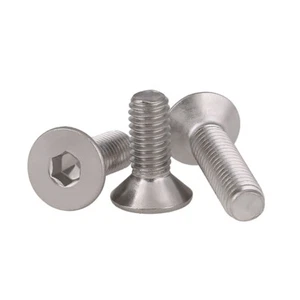 M6 M8 M10 M12 Flat Socket Cap Screws Allen Bolt Hex Drive A2 304 Stainless Steel - Bild 1 von 8