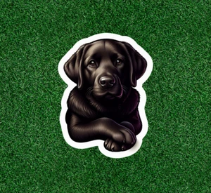 Calcomanía adhesiva vinilo 100% impermeable perro Labrador Retriever negro - muchos tamaños - Imagen 1 de 1