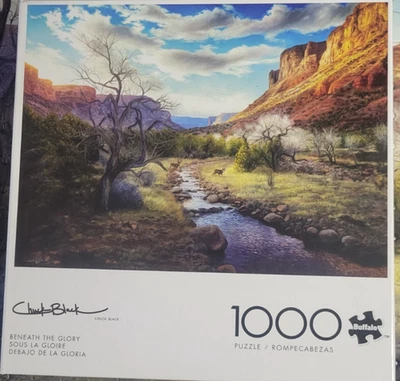 Rompecabezas Chuck Negro 1000 Piezas Completo Foto 1 de 3