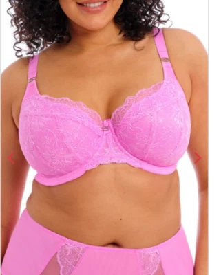 Sutiã Elomi Brianna UW acolchoado meia xícara 8081 Reino Unido tamanhos G-HH muito rosa novo com etiquetas $70 - Imagem 1 de 4