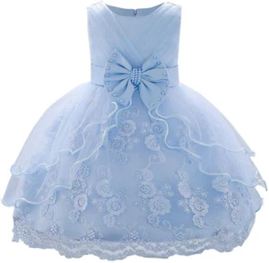 Baby Girl Christening Baptism Gown Flower Embroidery Tutu Dress Special Occasion - Picture 1 of 12