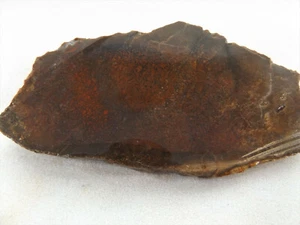 DIG-N-UTAH: SLAB DINOSAUR BONE CAB GEM ROUGH #I 570 - Bild 1 von 3