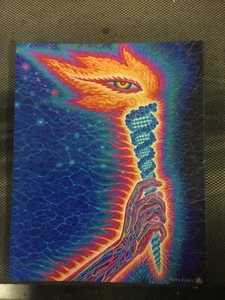 TOOL Fear inoculum torch Alex grey art print 8x10 photo Maynard Keenan Band - Picture 1 of 1