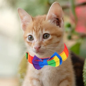 Rainbow Necklace Adjustable Small Dog Collar Collars for Puppies - Picture 1 of 12