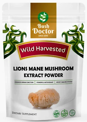 Lions Mane Mushroom Hericium Erinaceus Extract Powder premium quality  - Image 1 of 4