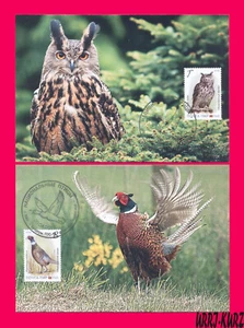 TRANSNISTRIA 2019 Europa CEPT Nature Fauna Birds Owl Pheasant 2 MaxiCards Cards - Picture 1 of 2