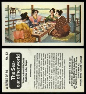 Seaweed Eating #42 The Sea Our Other World 1974 Brooke Bond Tea Card