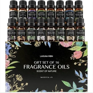 Fragrance Oil Collection - Premium 16pc Gift Set for Diffusers, DIY Candle Ma... - Picture 1 of 6
