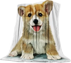 Flannel Fleece Blanket Soft Portable Plush Sofa Couch Bed Throw Blanket 40x50in - Picture 1 of 7