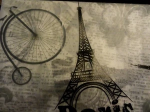 13 pc PEVA SHOWER CURTAIN Black Gray PARIS Eiffel Tower Newsprint~Travel HOOKS - Picture 1 of 5