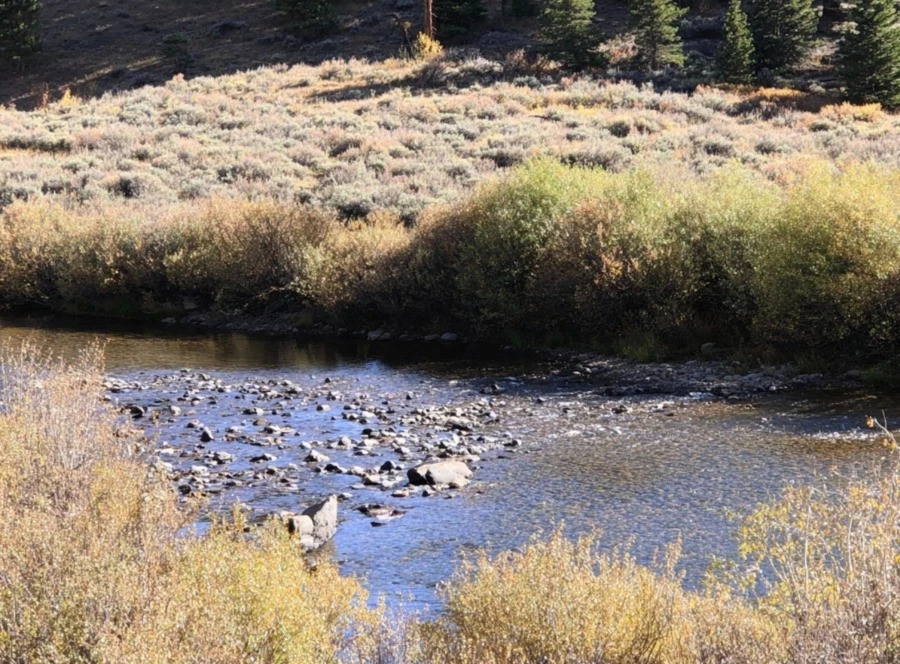 Colocador de reclamo de minería de oro de 20 acres, "Texas Creek" Gunnison County Colorado Foto 1 de 1