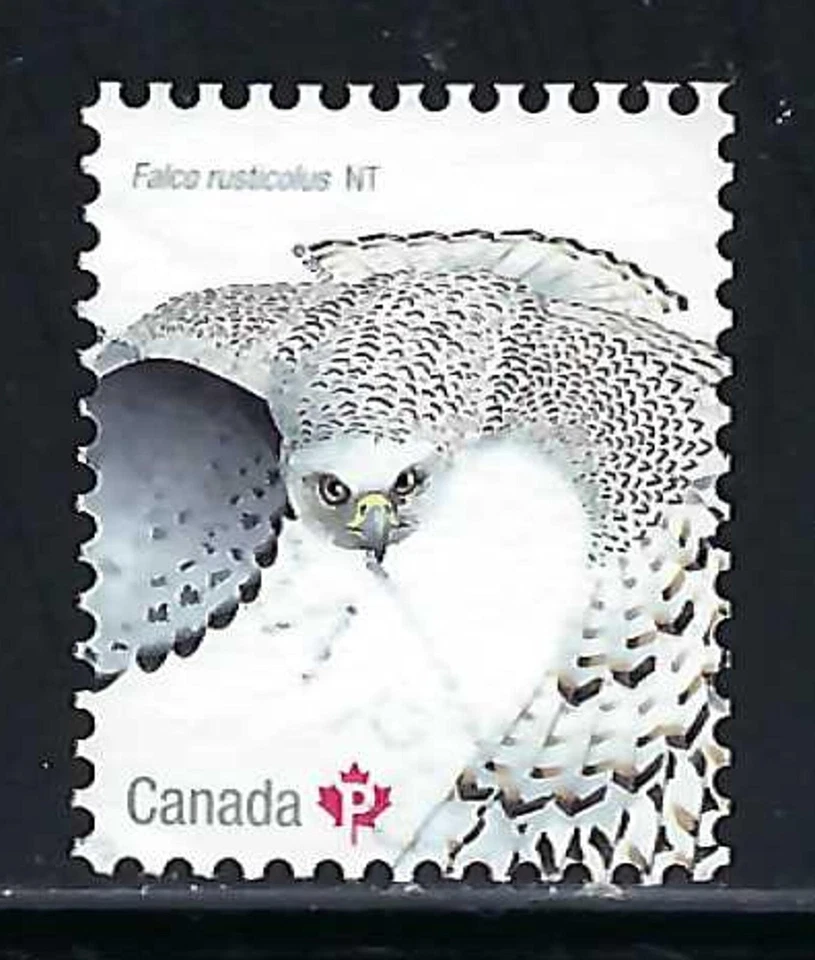 CANADA USED STAMP - SCOTT 3017b -  FROM SOUVENIR SHEET - BIRDS OF CANADA - 2017 — 第 1/1 张图片