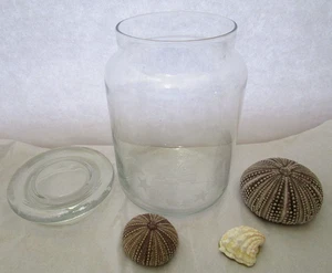 Barattolo barattolo in vetro inciso Sanibel Island con 2 ricci di mare - guscio di vongole - made in USA - Foto 1 di 13