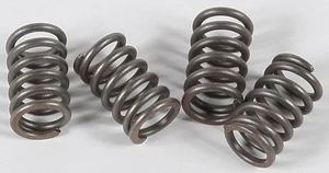EBC - CSK3 - CSK Clutch Spring Kit 10% Stiffer Than Stock Springs - Picture 1 of 1