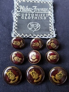 RARE GRAIL Lion crown Gold Burgundy Enamel set 9 lot 20mm & 15mm Blazer Buttons - Picture 1 of 8