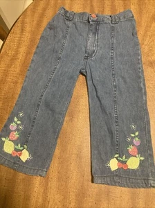 BT Kids Girls Jeans with Flower, Fruit Embroidered Size: 4 With Flower Button - Picture 1 of 6