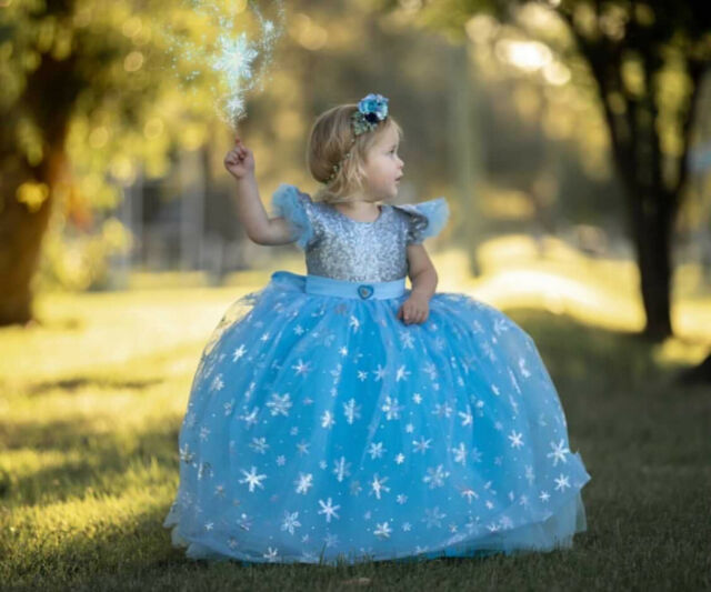 Elsa Dress for Girls Frozen Elsa Birthday Costume 