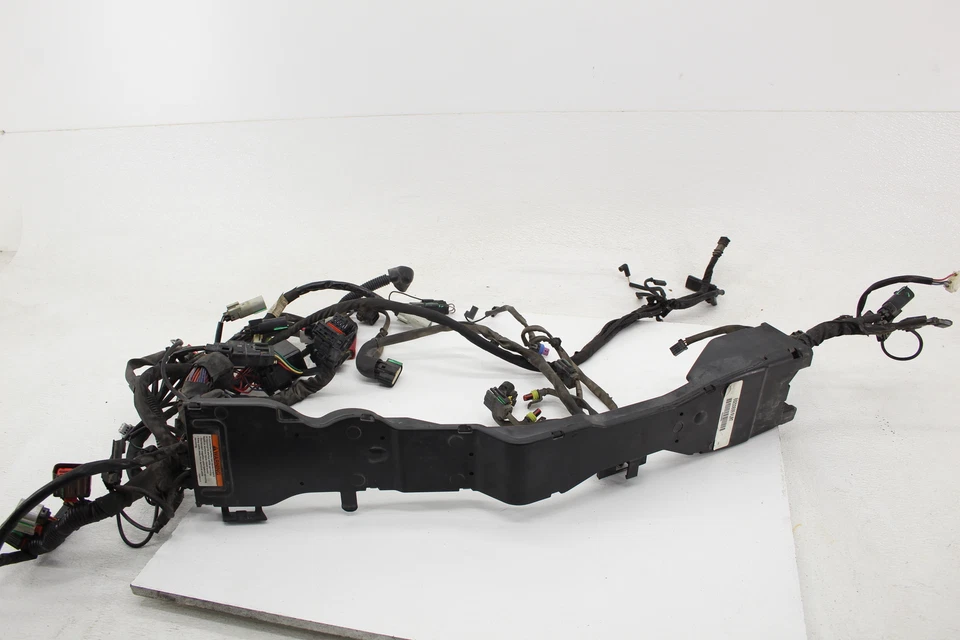 Жгут проводов основного двигателя 2015 Harley Davidson Freewheeler - Изображение 1 из 4