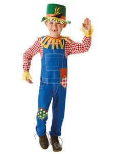 Child Mr Scarecrow Costume - 9-10 Years - Boys Kids Play Book Week Outfit - Picture 1 of 1