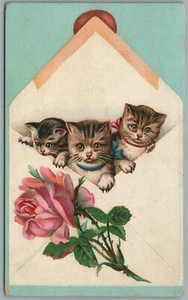 CATS in ENVELOPE ANTIQUE POSTCARD - Picture 1 of 2