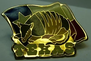 Texas gebrauchte Hut Anstecknadel Krawatte Tac HP2766 - Bild 1 von 2