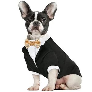 Formal Tuxedo Dog Wedding Outfit Gold Bow Tie Pet Clothes Medium Size - Picture 1 of 6