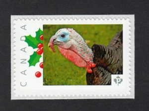 TURCHIA = Francobollo fotografico = Canada 2015 [p15-10-br3/2] MNH - Foto 1 di 2