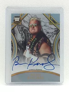 Brian Knobbs 2018 Topps WWE Legends - SILVER (19/50) - ON CARD AUTO - Nasty Boys - Picture 1 of 2