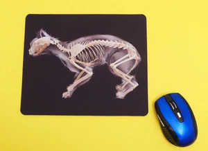 Katze Röntgen Skelett Mauspad. Computer Home Office Deko Mousepad  - Bild 1 von 1