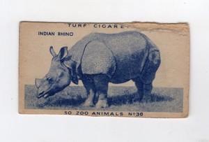 Animal Cigarette Card 1952 #38 Indian Rhino