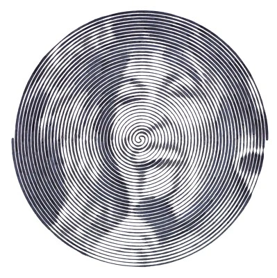Tina Turner Spiral Original Ink Drawing  - Image 1 of 3