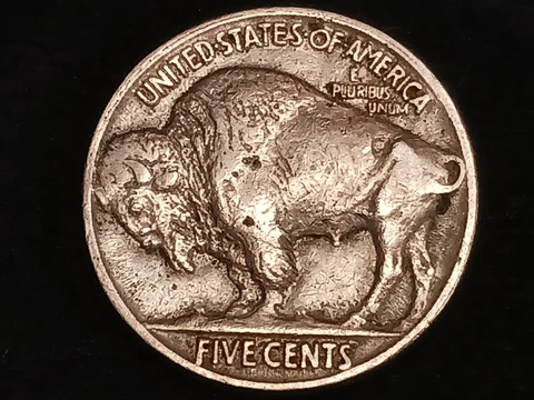 1921-P Buffalo Nickel 5 Cents~High Grade Earlier Date~Full Horn~AU Cover