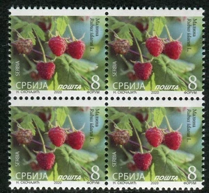 1540a SERBIA 2020 - Flora - Fruit - Raspberry - MNH Block of 4 - Picture 1 of 2