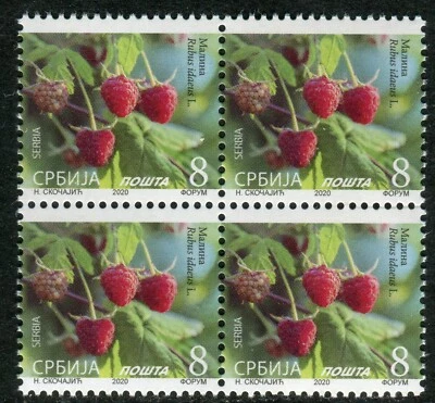 1540a SERBIA 2020 - Flora - Fruit - Raspberry - MNH Block of 4 - Image 1 of 2