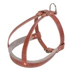 Ray Allen Old World Leather Agitation Harness for K9 Training w D Ring, Burgundy