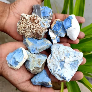 Natural 2800 Ct Certified Australian Blue Opal Rough Gemstone 10Pcs Lot - Picture 1 of 6