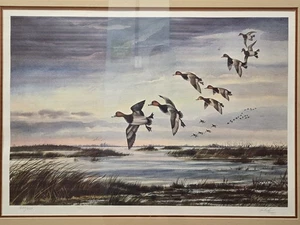RICHARD TIMM DUCKS SIGNED Ltd Edition Print 18 In X 26 In - Picture 1 of 3