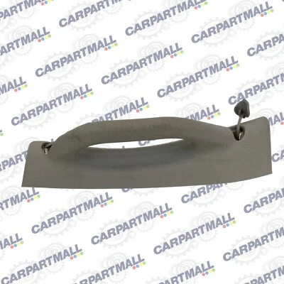2008-2010 Dodge Grand Caravan Rear Left B Pillar Grip Grab Handle 1AR41ES3AH OEM Foto 1 de 4